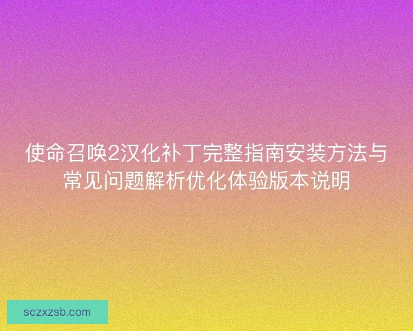 使命召唤2汉化补丁完整指南安装方法与常见问题解析优化体验版本说明